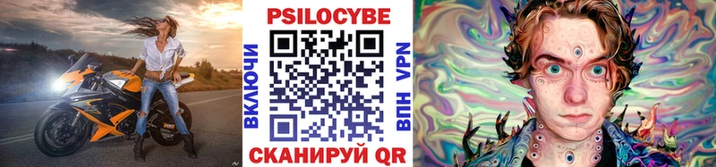 Купить где  Зубцов  Псилоцибиновые грибы Cubensis 