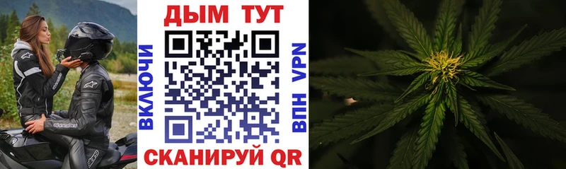 Каннабис гибрид  Купить где  Зубцов 